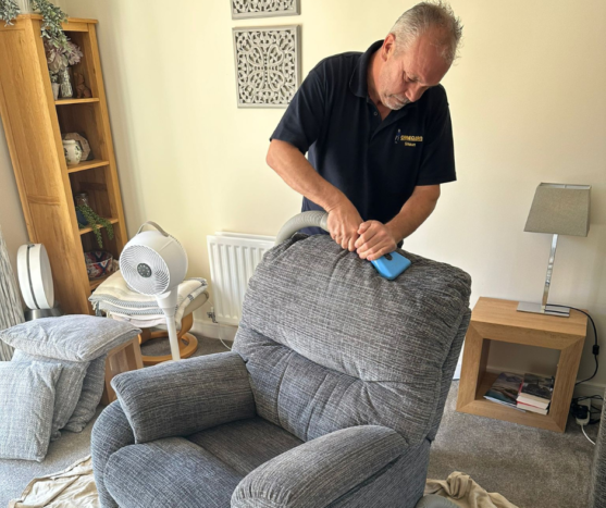DIY vs. Professional Upholstery Cleaning in Essex