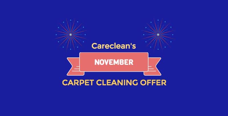 carpet cleaning offers