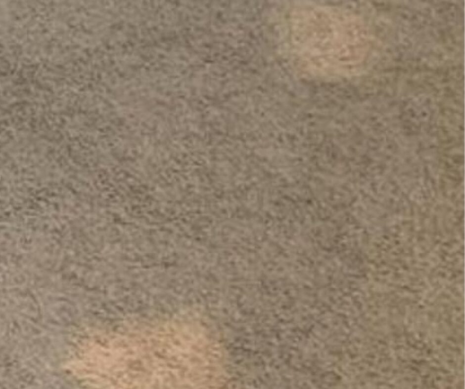 Why Do Light Spots Appear on Your Carpet After Cleaning Careclean Essex