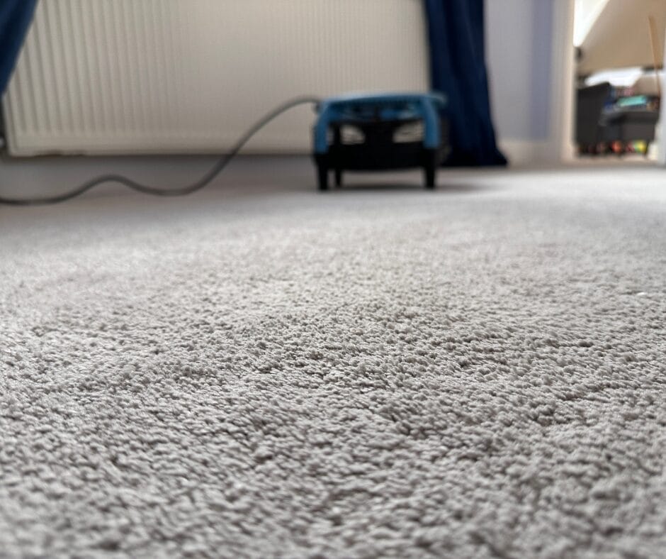 Why Winter Is the Perfect Time for Carpet Cleaning in Essex Careclean Essex