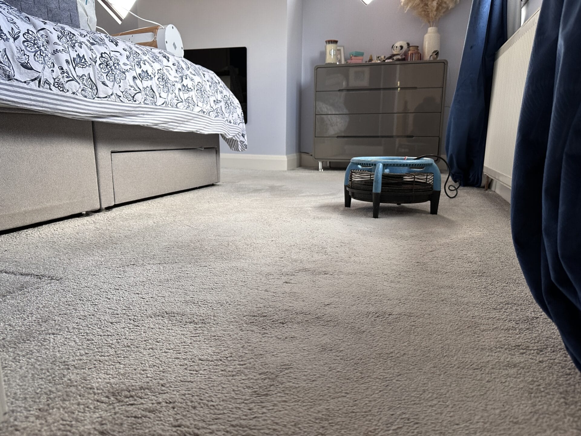 Carpet and Upholstery Cleaning maintnance plan careclean essex