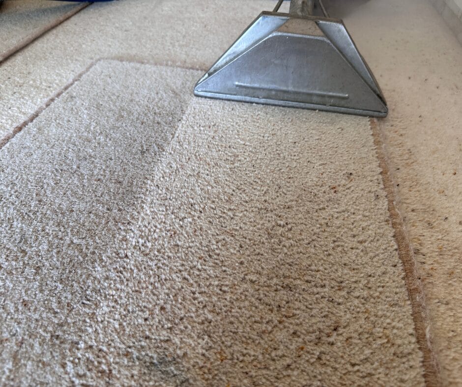 How to Prepare for Professional Carpet Cleaning in Essex Careclean Essex