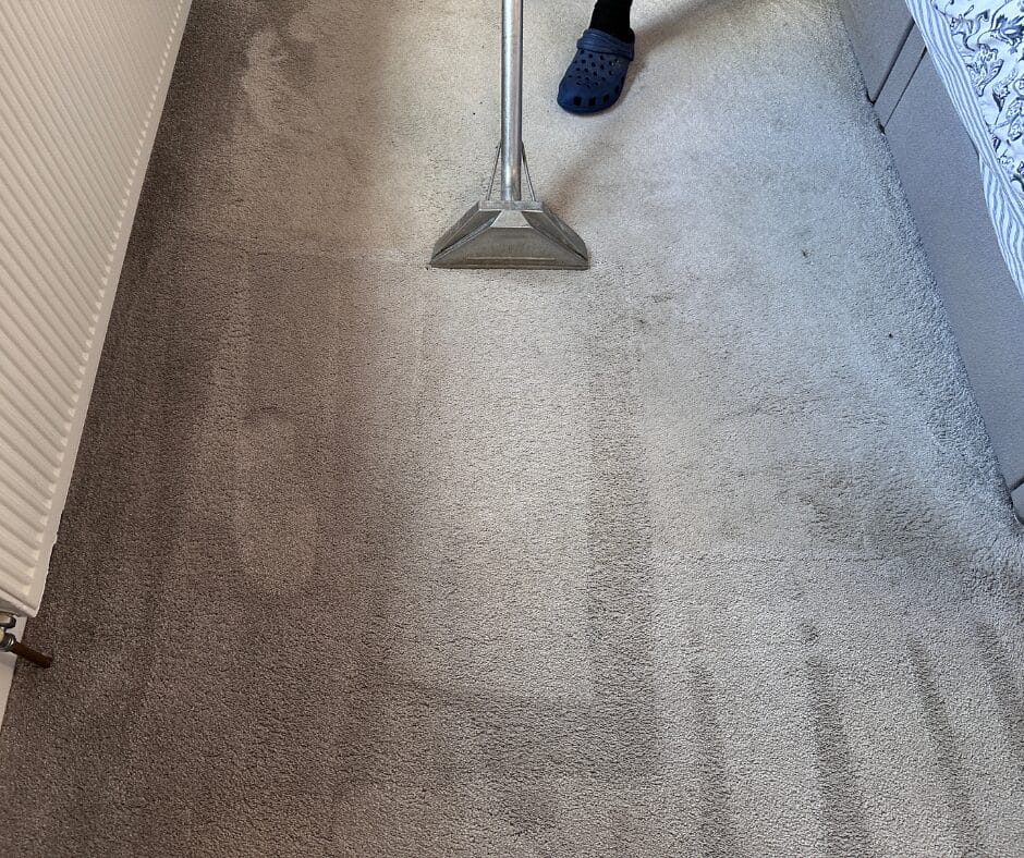 Carpet Cleaning Challenges and What to Do Careclean Essex