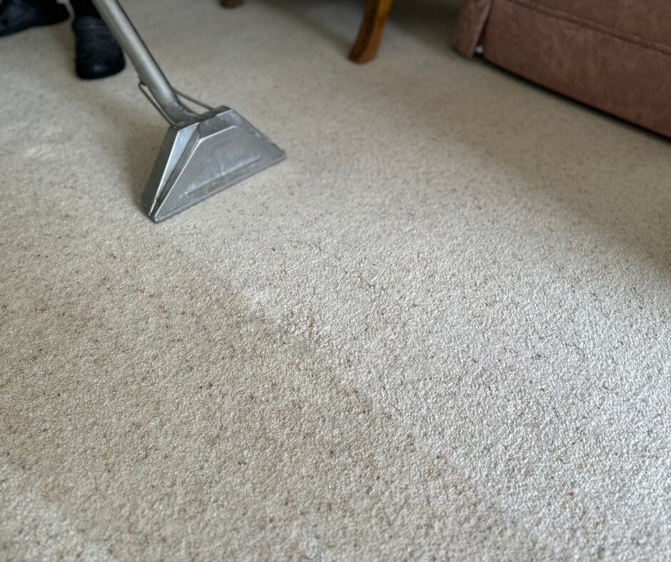 How to Freshen Your Carpets Before Guests Arrive Careclean Essex