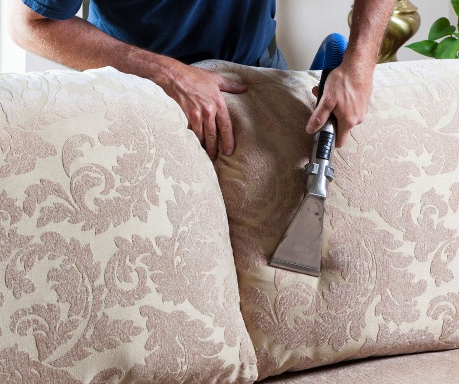 Fall Back in Love with Your Sofa Careclean Essex