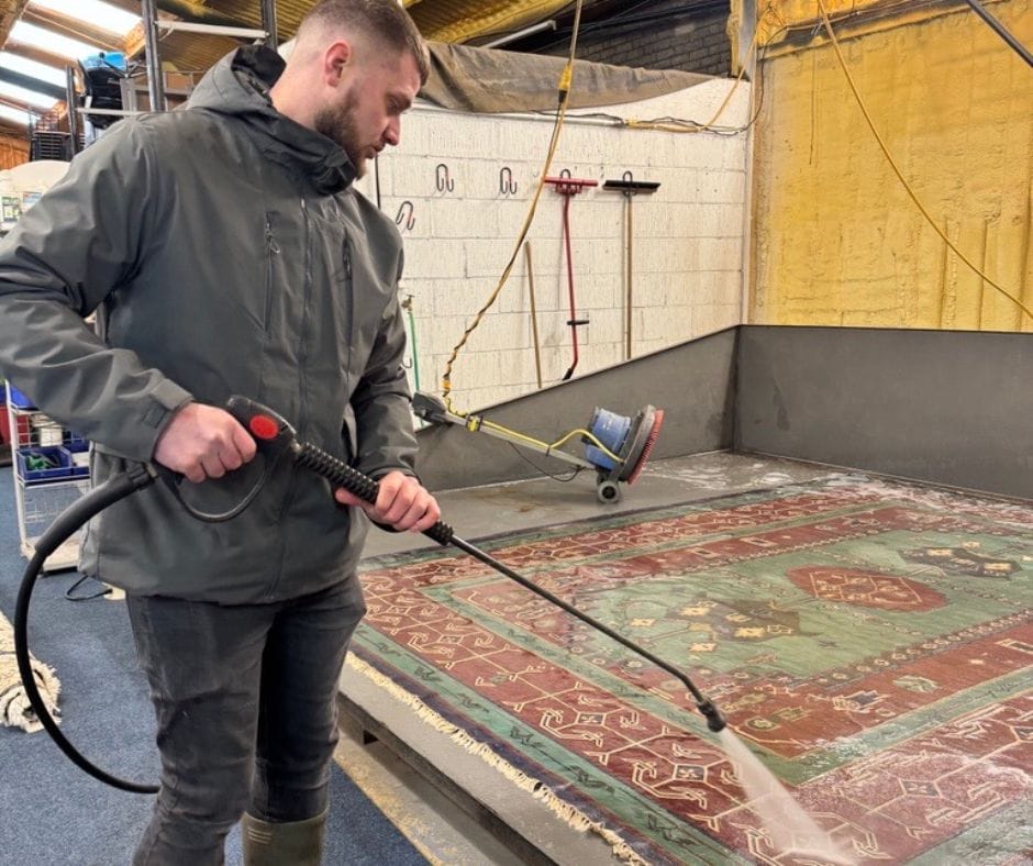 Why Pet Smells Linger in Rugs and How to Fix It Careclean Essex