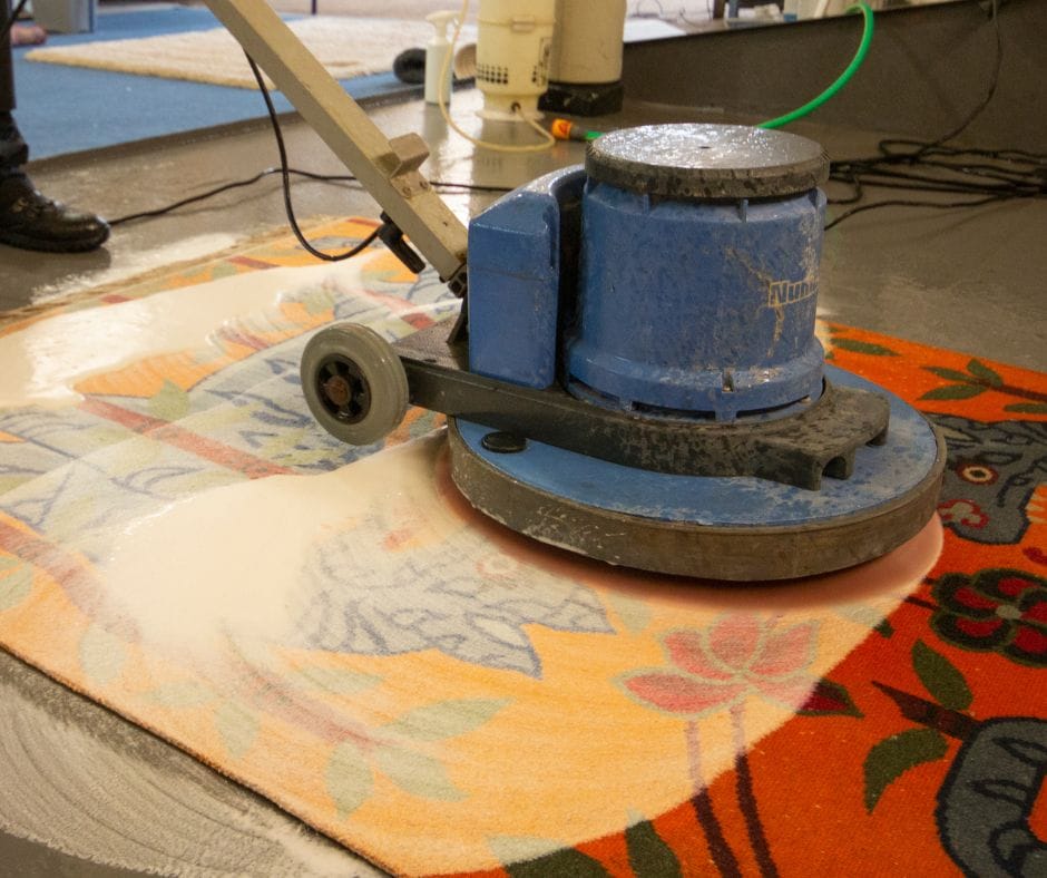 Rug care when pets are part of the family Careclean Essex