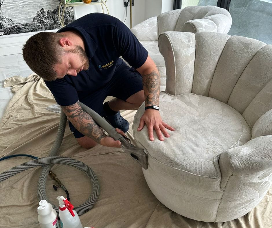 Why Your Sofa Might Need a Little Care This Christmas Careclean Essex
