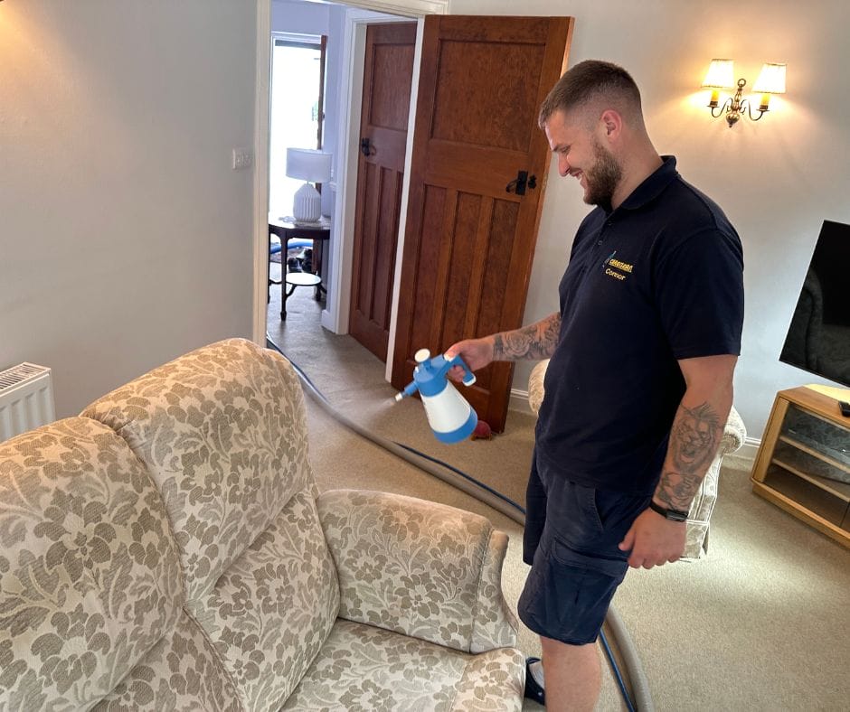 Draylon Sofa Cleaning: What You Need to Know Carpet Cleaning Service Carreclean Essex