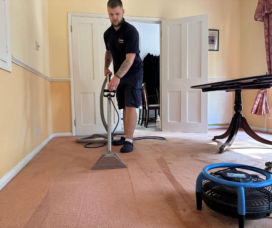 How to Get Blood Out of Carpet Careclean Essex