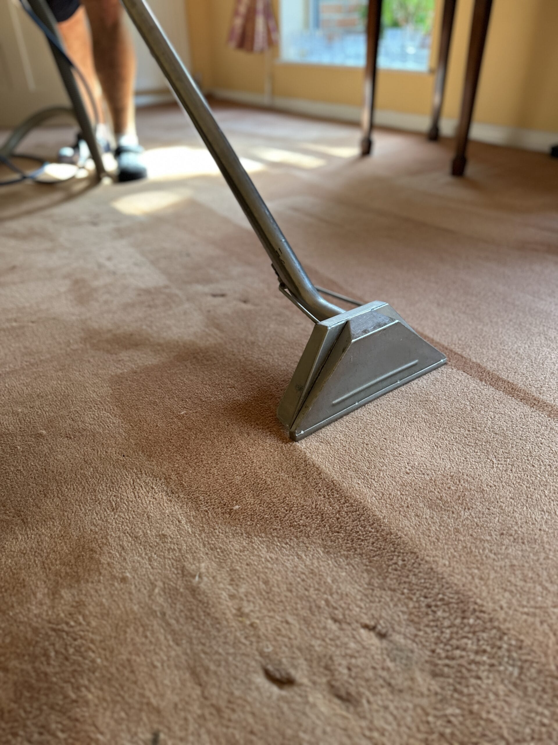 Oil stain on carpet what to do first (and when to stop) Careclean Essex