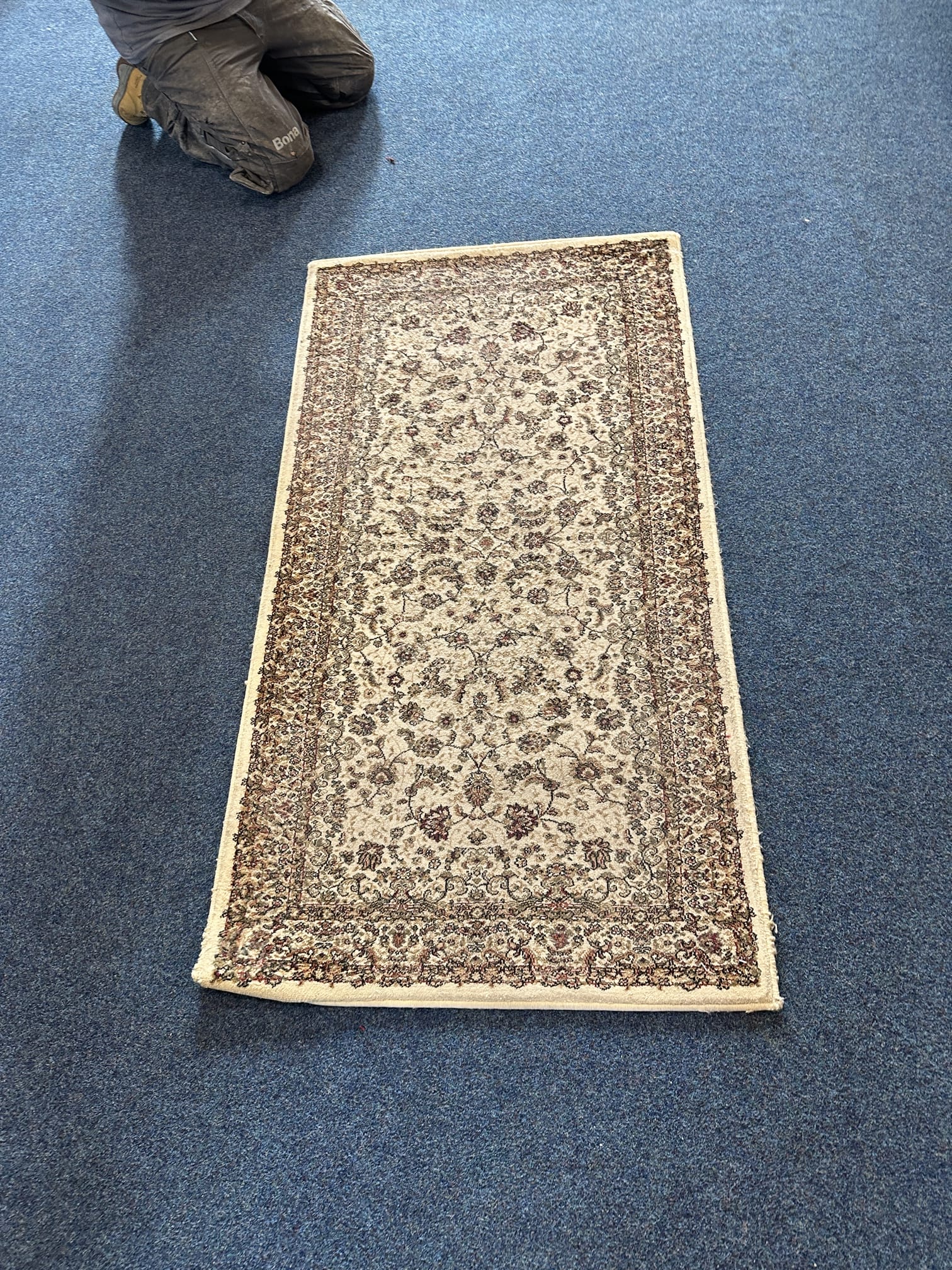 What’s Trapped in Rug Fibres... Surface Clean vs Fibre Clean Careclean Essex