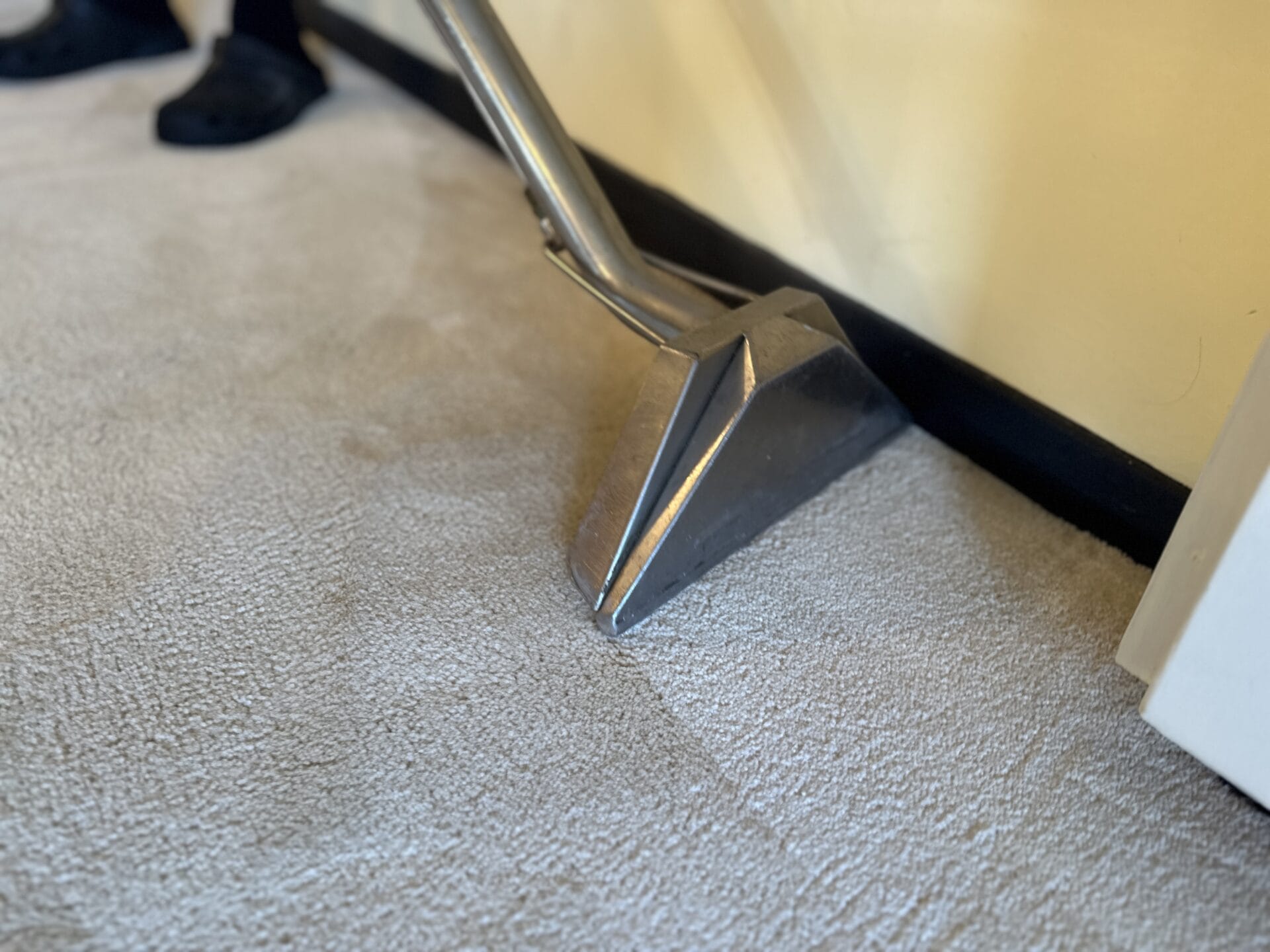 Oil stain on carpet what to do first (and when to stop) Careclean Essex