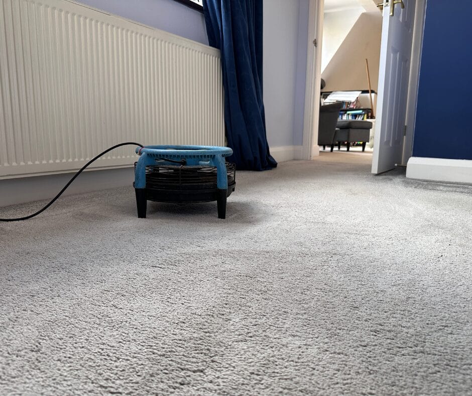 How to get paint out of carpet without causing damage Careclean Essex