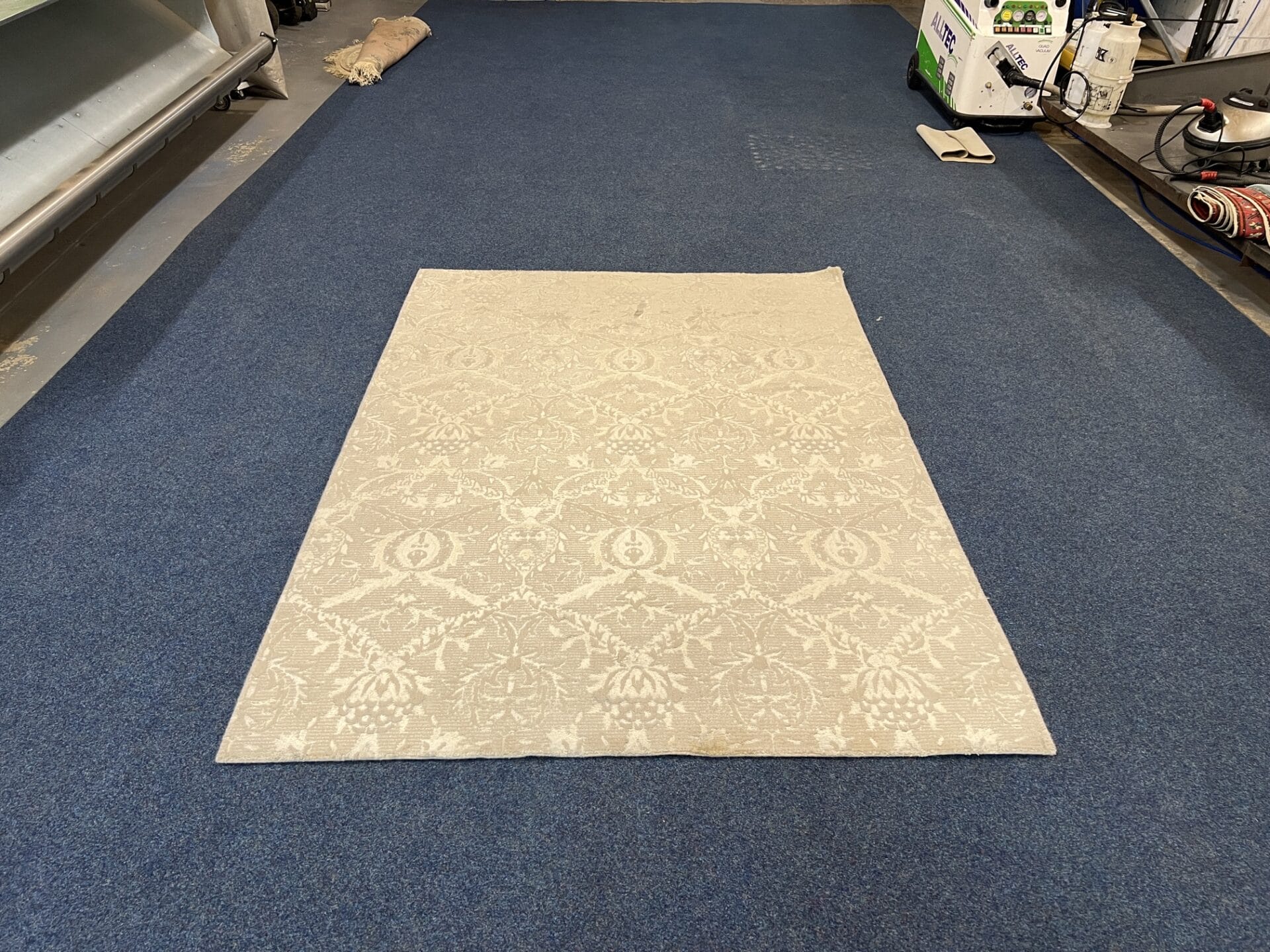Rug that art of clean has cleaned for Careclean Essex