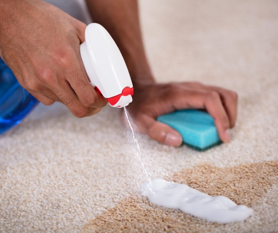Chocolate spill on carpet carpet cleaning service 