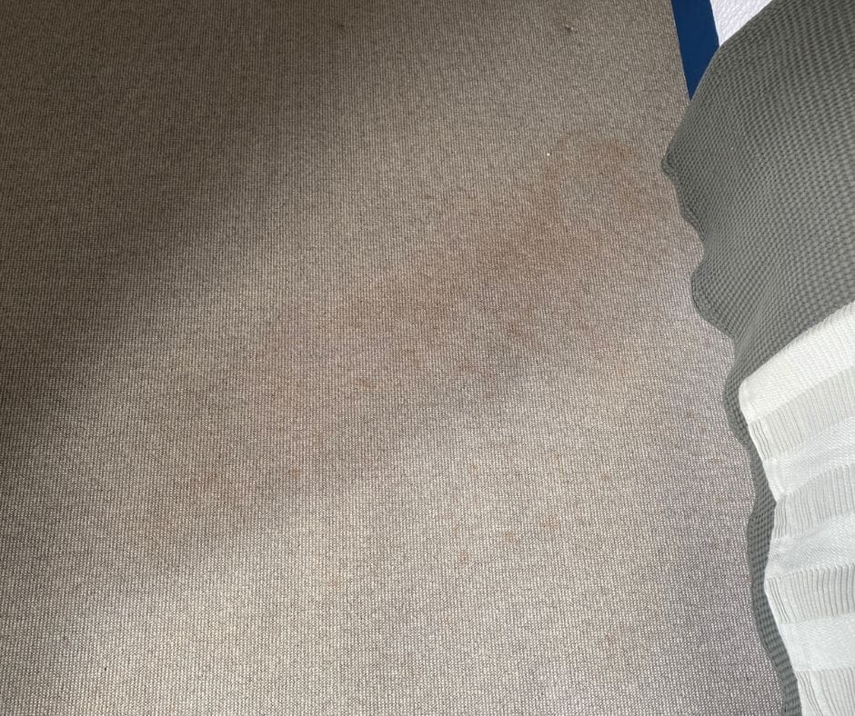 _Safe ways to get chocolate out of your carpet Careclean Essex