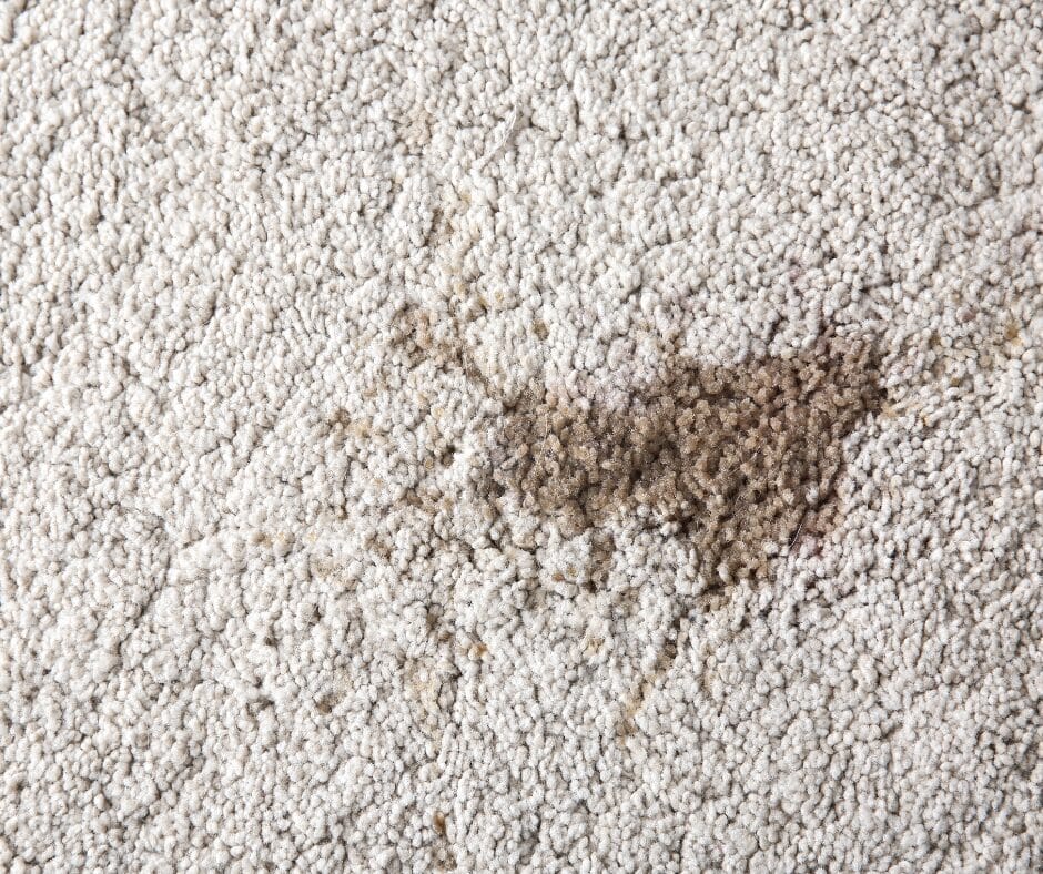 Chocolate spill on carpet carpet cleaning service 