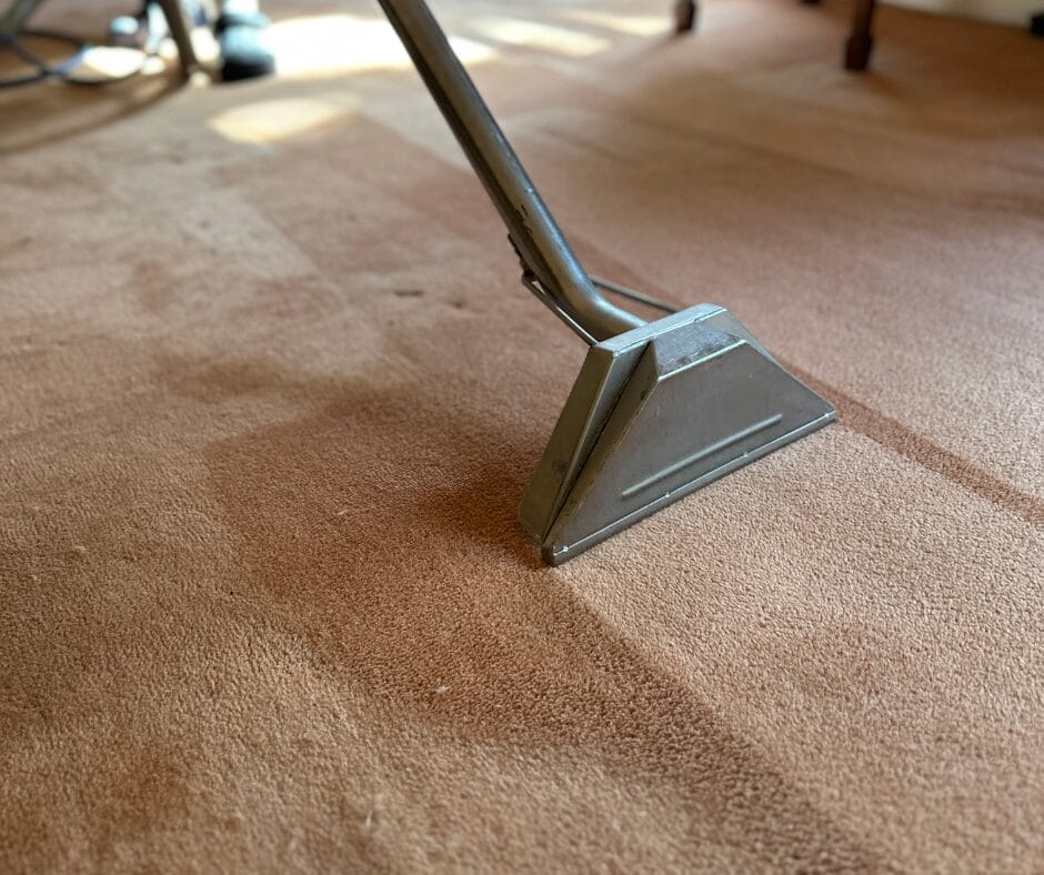 Carpet being cleaned by careclean essex