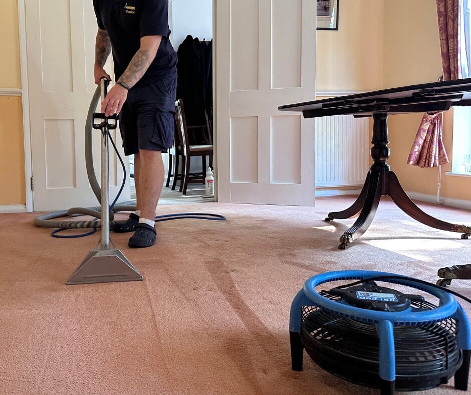 Copy of How to get curry and turmeric stains out of carpet Careclean Essex (2)