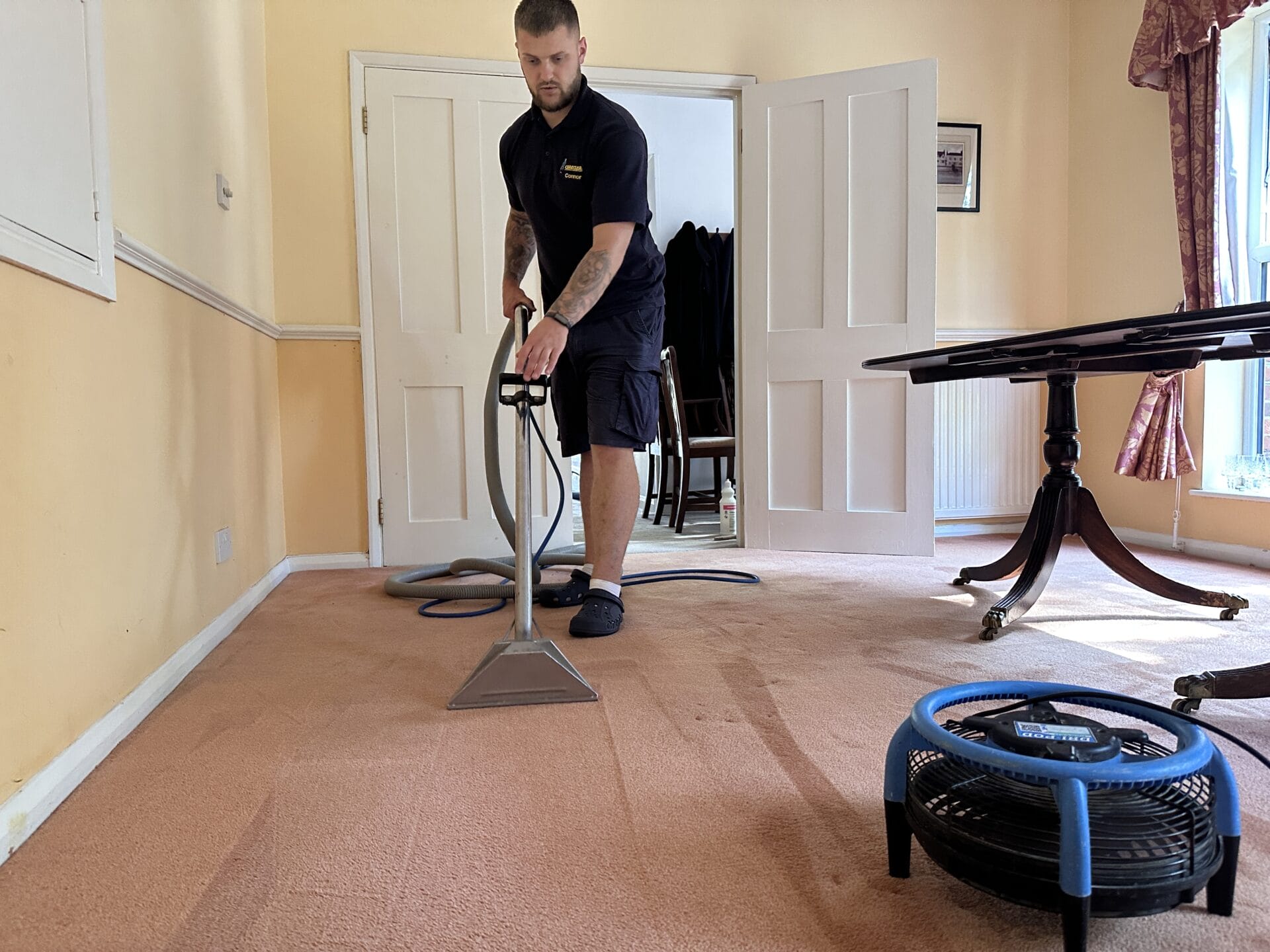 carpet cleaning in Brentwood Essex careclean essex 6 (1)