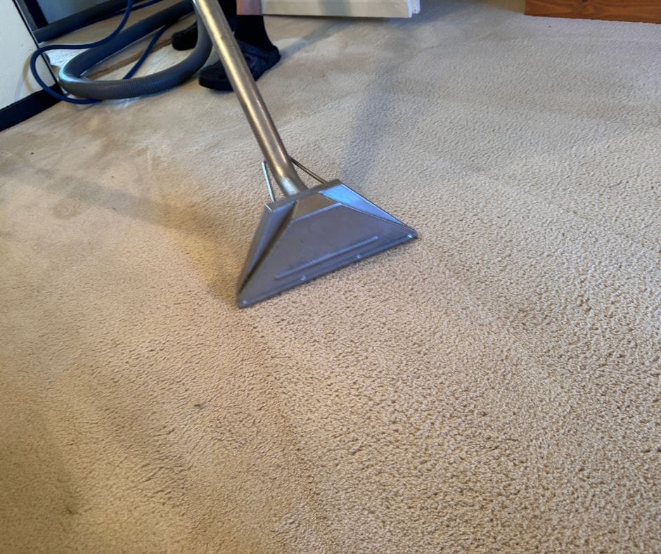 How to clean vomit from carpet safely Careclean Essex